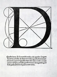 D, illustrazione da 